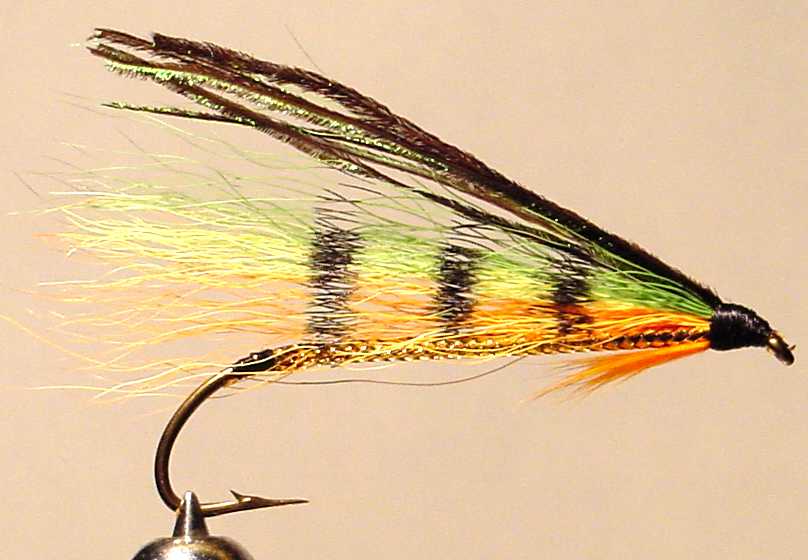 Firetiger.jpg (39116 octets)