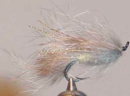 darkdarter.jpg (10626 octets)